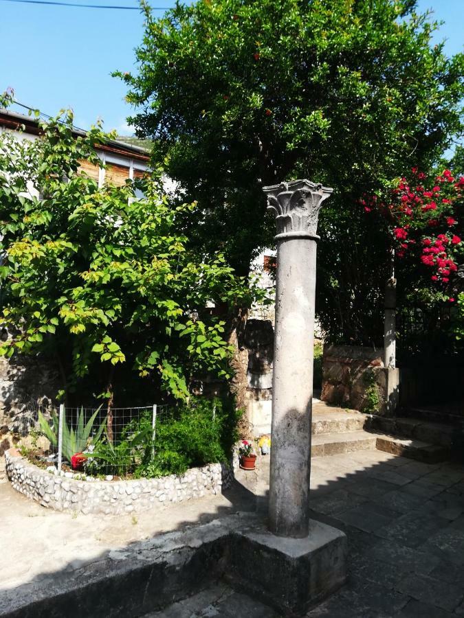 Sokol